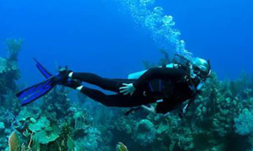 Scuba 480x206