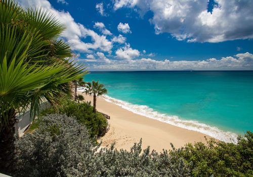 the cliff beach
